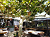 Restaurant Les Flots Bleu in Agay. A fine place to sample the local Rose wine